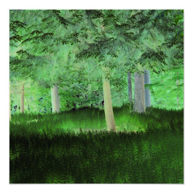 "Anything Could Happen" Magical Transformed Forest Photo Print (Front)