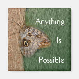 Anything Is Possible Butterfly Magnet