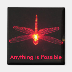 Anything is Possible Magnet