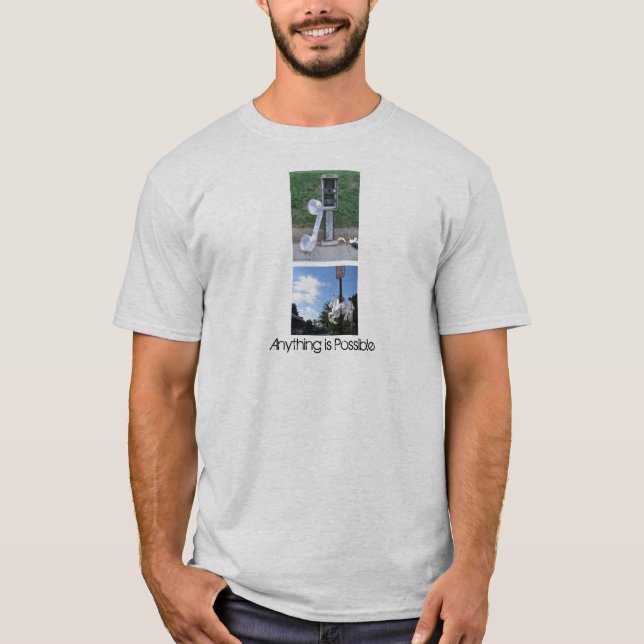 Anything is Possible T-Shirt (Front)