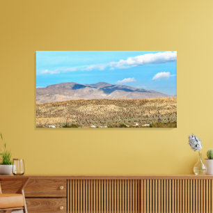 Anza Borrego Desert State Park Canvas Print