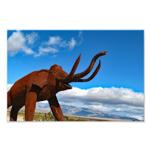 Anza Borrego Desert State Park Photo Print