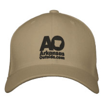 AO Embroidered Twill Ballcap Embroidered Baseball 