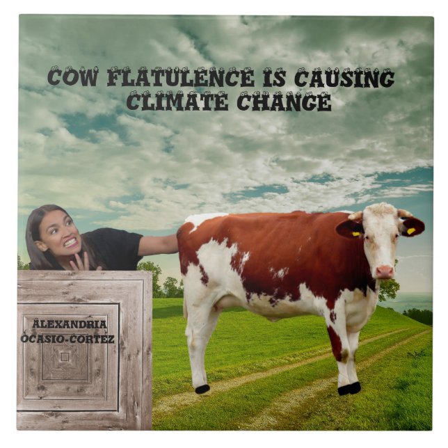 AOC-CLIMATE CHANGE* TILE (Front)