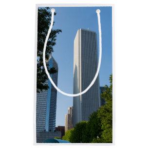 Aon Centre Chicago Small Gift Bag