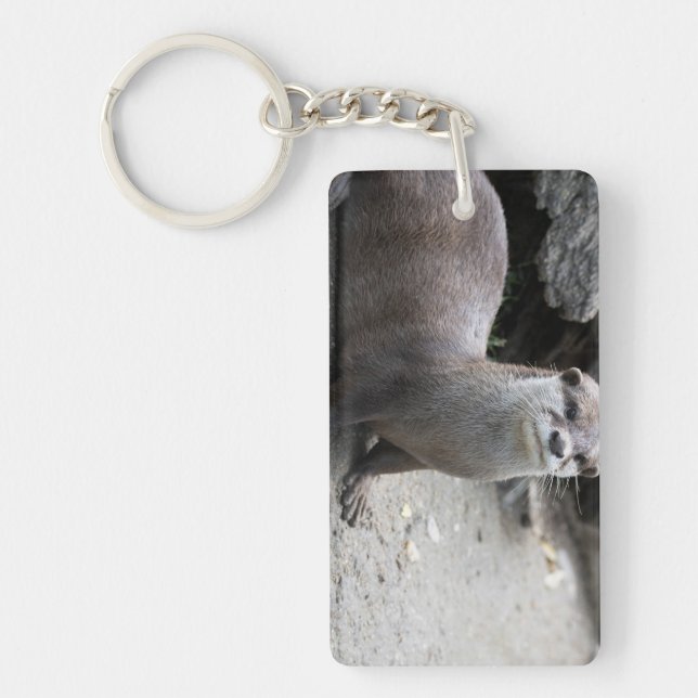 Aonyx cinerea key ring (Front)