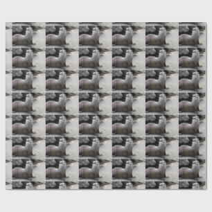 Aonyx cinerea wrapping paper