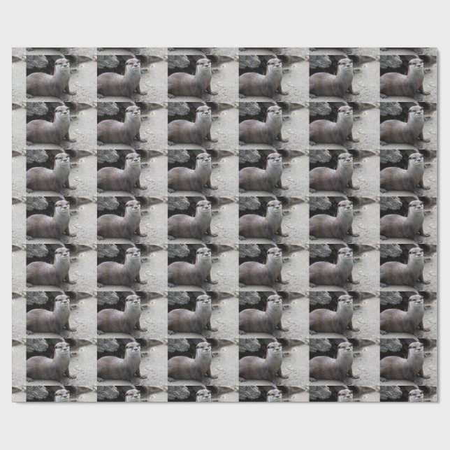 Aonyx cinerea wrapping paper (Flat)