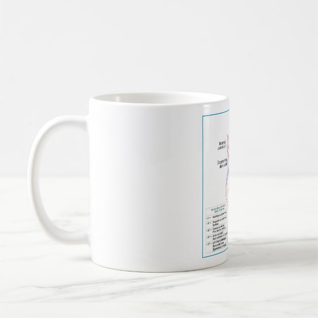 Aortic Arches Embryology DITKI Mug (Left)