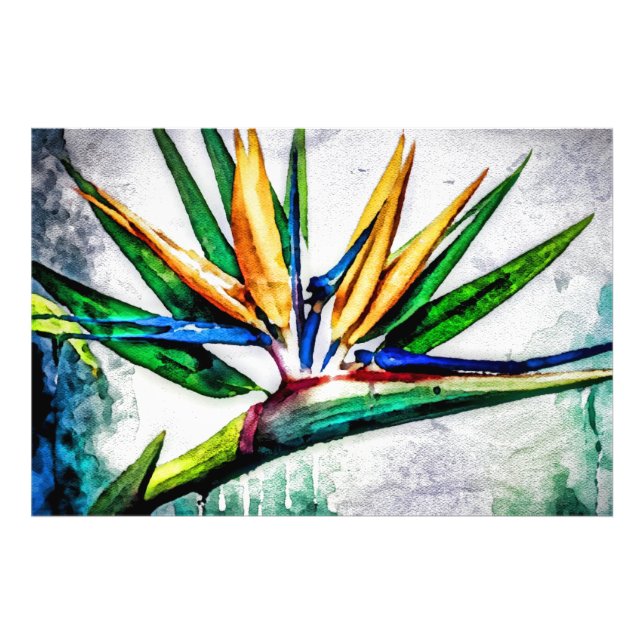 *~* AP10 Bird of Paradise Art Painting #13 Photo Print (Front)