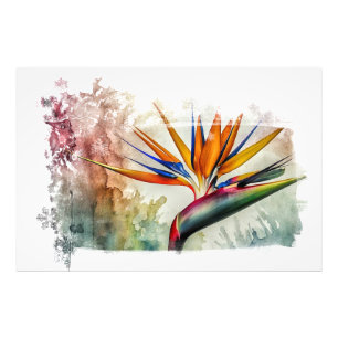 *~* AP10 Bird of Paradise Art Painting #1 Photo Print