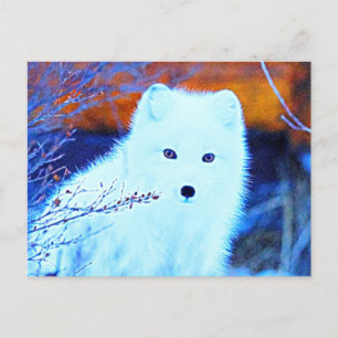 *~* AP18 Twig Snow Fox White Fox Arctic Polar Postcard