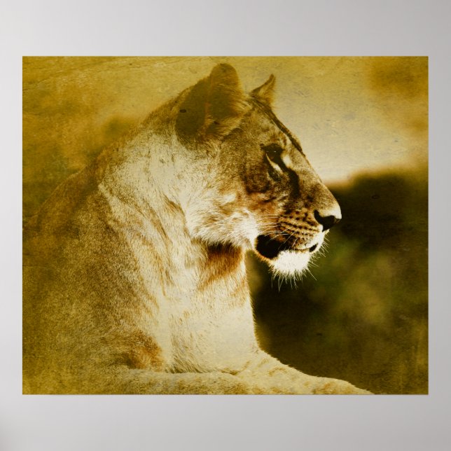 *~* AP23 Artistic Watercolor Golden LIONESS Artsy Poster (Front)