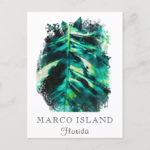 *~* AP25 Personalise Tropical Palm Leaf Travel  Postcard