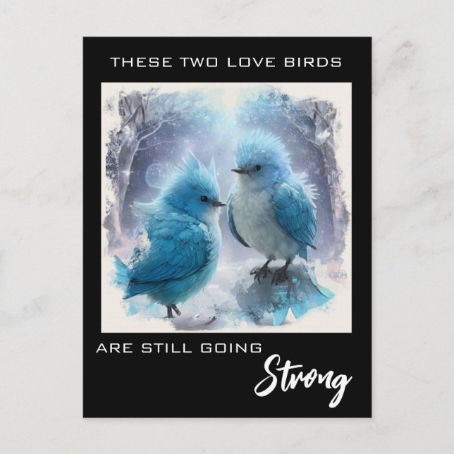 *~* AP54 PHOTO Anniversary  Fluffy Love Birds Postcard (Front)