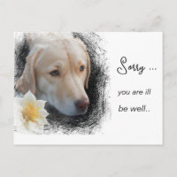 *~  AP61 Sad short hair Dog Flower Sick Get Well