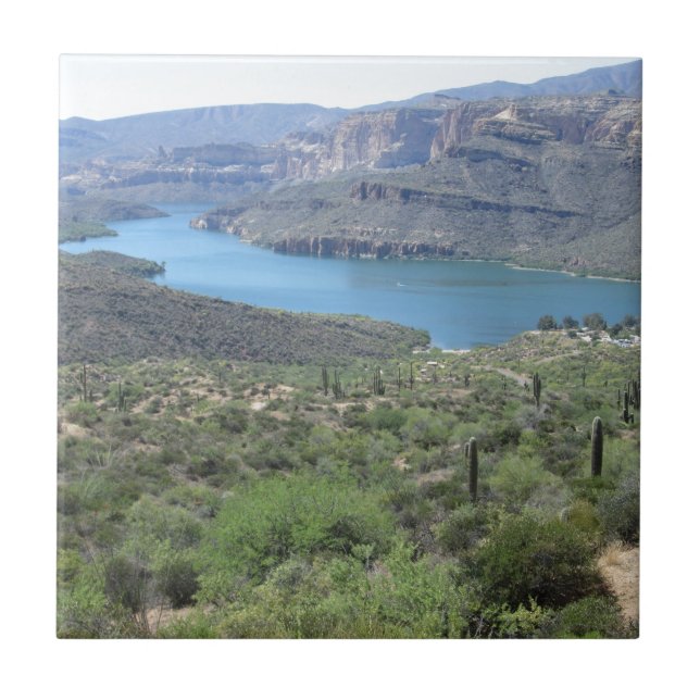 Apache Lake View Tile (Front)