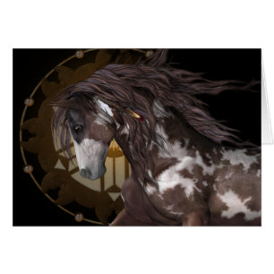 Apache .. the stallion