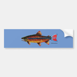 Apache Trout Bumper Sticker