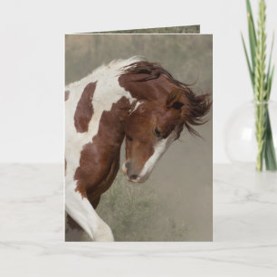 Apache's Portrait Wild Horse Greeting Card