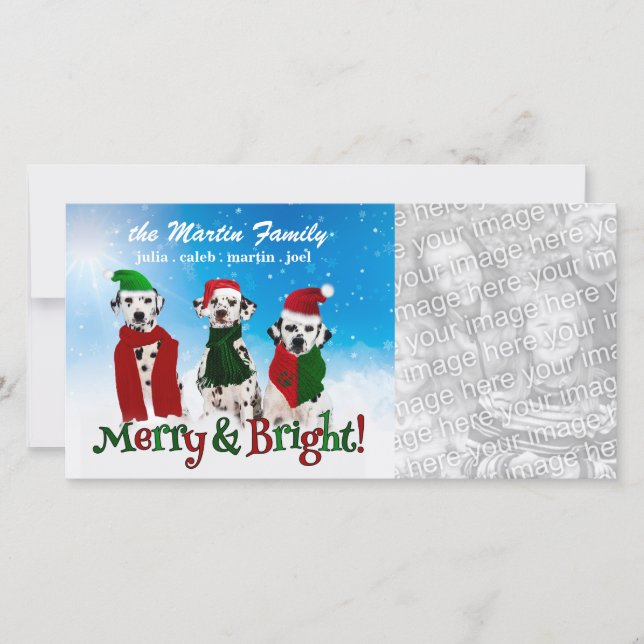 APAL - Christmas Dalmatian Dogs in Santa Hats Holiday Card (Front)