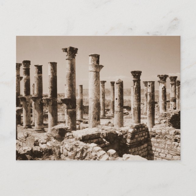 Apamea Postcard (Front)