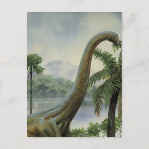 Apatosaurus (Brontosaurus) Eating Illustration Postcard