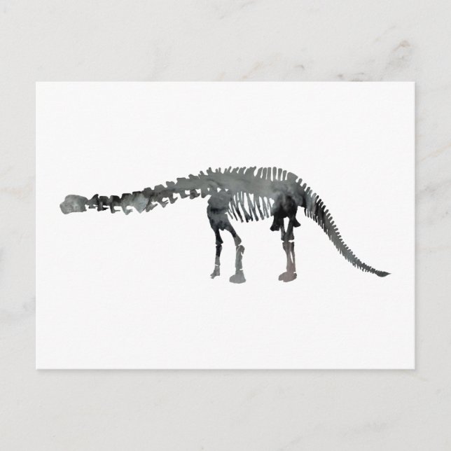 apatosaurus skeleton postcard (Front)