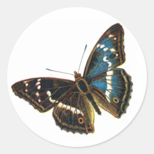 Apatura iris male classic round sticker