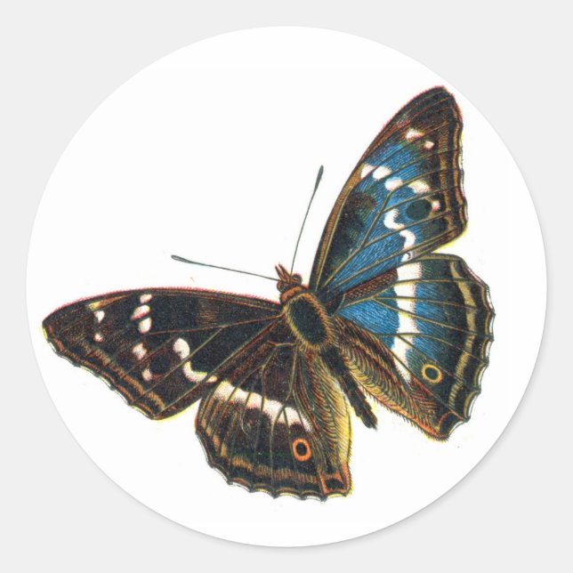 Apatura iris male classic round sticker (Front)