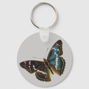 Apatura iris male key ring