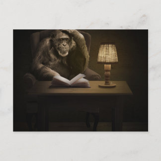 Ape Chimpanzee Monkey Postcard