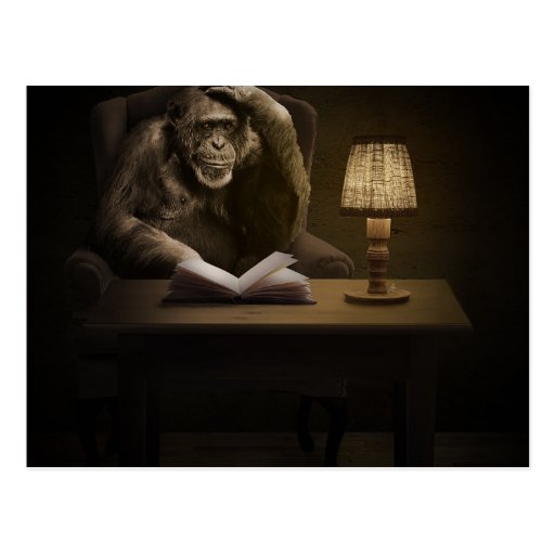 Image of Ape Chimpanzee Monkey Postcard
