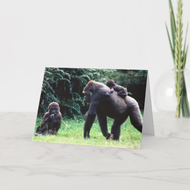 APE FAMILY SAYS HAPPY 30th BIRTHDAY Card (Front)