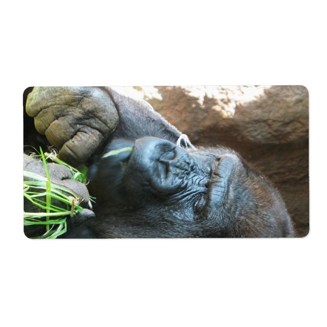 Ape hood ~ Japanese Gorilla Eating (Front)