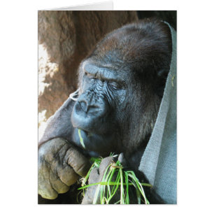 Ape hood ~ Japanese Gorilla Eating Greeting Card