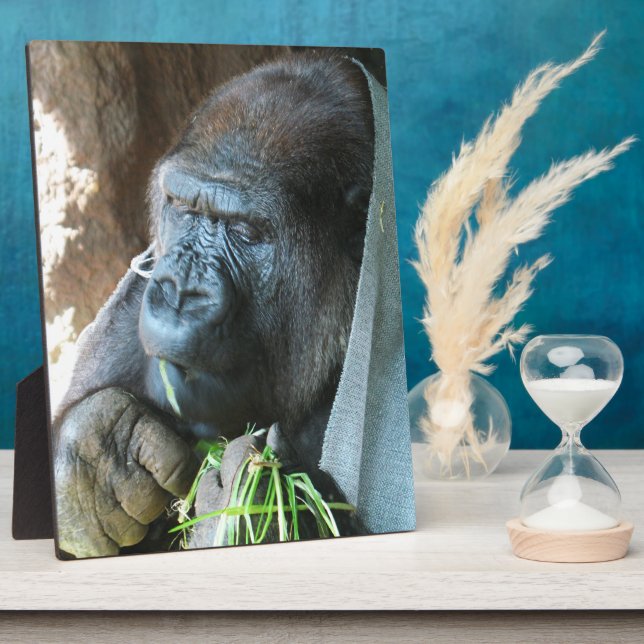 Ape hood ~ Japanese Gorilla Eating Plaque (Side)