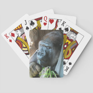 Ape hood ~ Japanese Gorilla Eating Playing Cards
