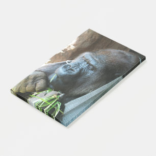 Ape hood ~ Japanese Gorilla Eating Post-it Notes