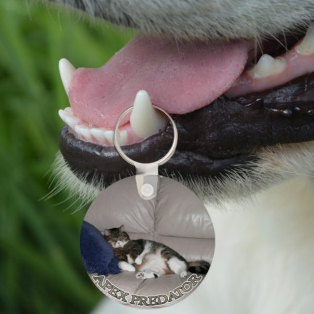 Apex Predator Fat lazy cat keychain (Creator Uploaded)