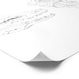 Apex Print
