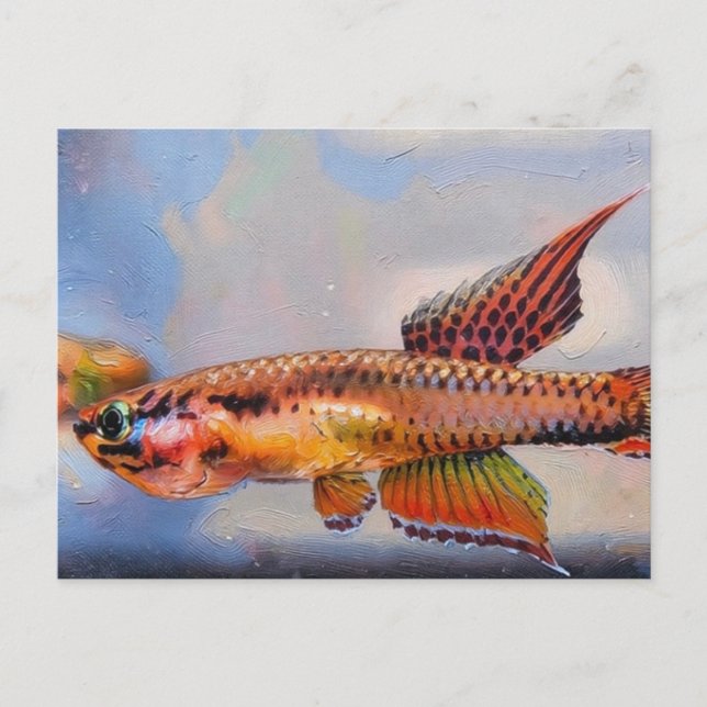 aphyosemion bitaeniatum ijebu ode Killifish Postcard (Front)