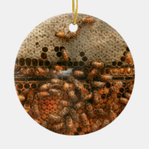 Apiary - Bee's - Sweet success Ceramic Tree Decoration