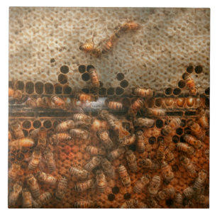 Apiary - Bee's - Sweet success Tile