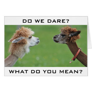 APLACAS WORRIED TO SAY "HAPPY 40TH HUMOR