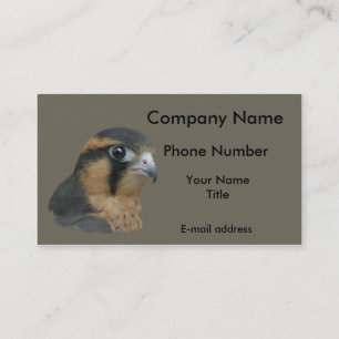 Aplomado Business Card