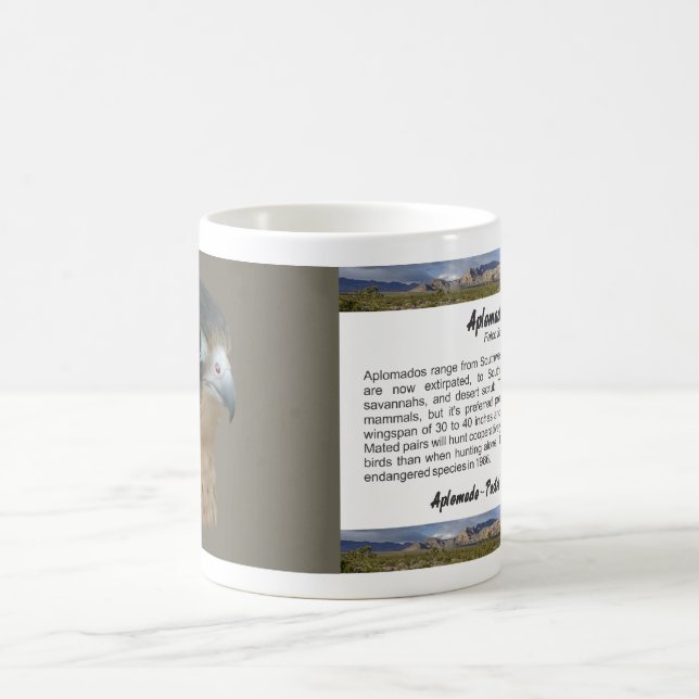 Aplomado Coffee Mug (Center)