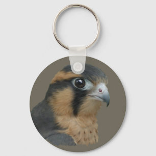 Aplomado Key Ring