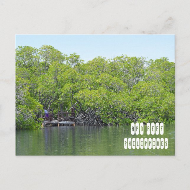 Apo Reef of Mindoro Philippines Postcard (Front)