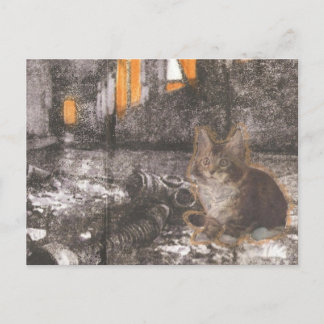 Apocalypse Kitty Postcard